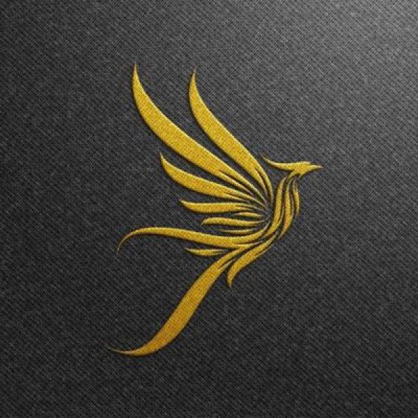 Thiết kế logo hình cánh chim